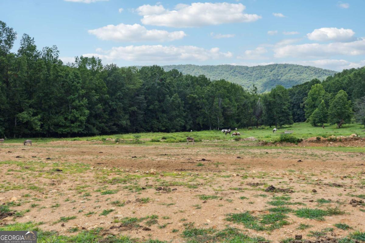 207 Canyon Pass Property Photo 25