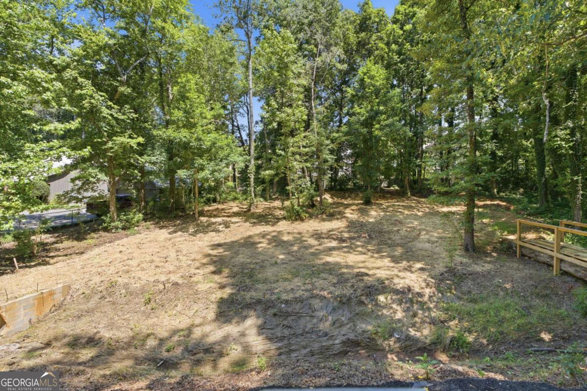 4039 Tall Pine Drive Property Photo 50
