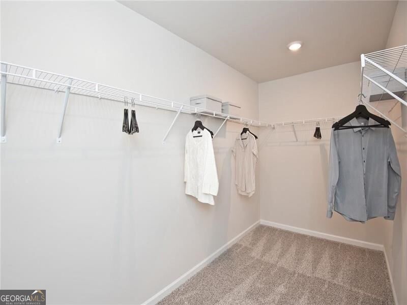 1528 Purple Cone Flower Avenue Property Photo 6