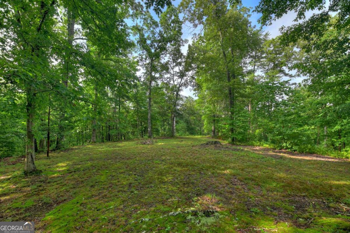 387 Ruby Lane Property Photo 74