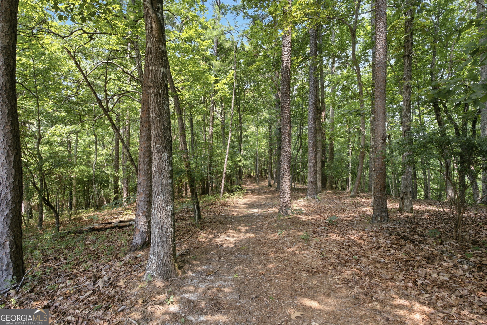 302 Bumpy Trail Property Photo 67