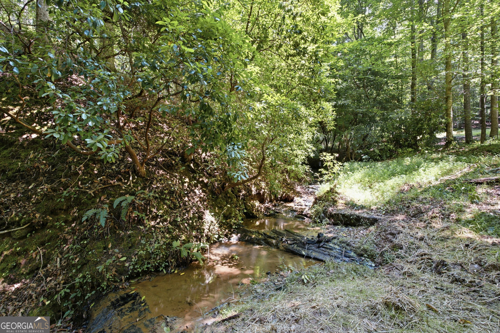 302 Bumpy Trail Property Photo 69