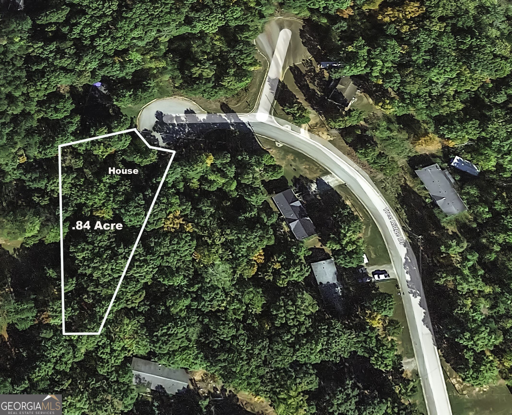 534 Tree Ridge Property Photo 45