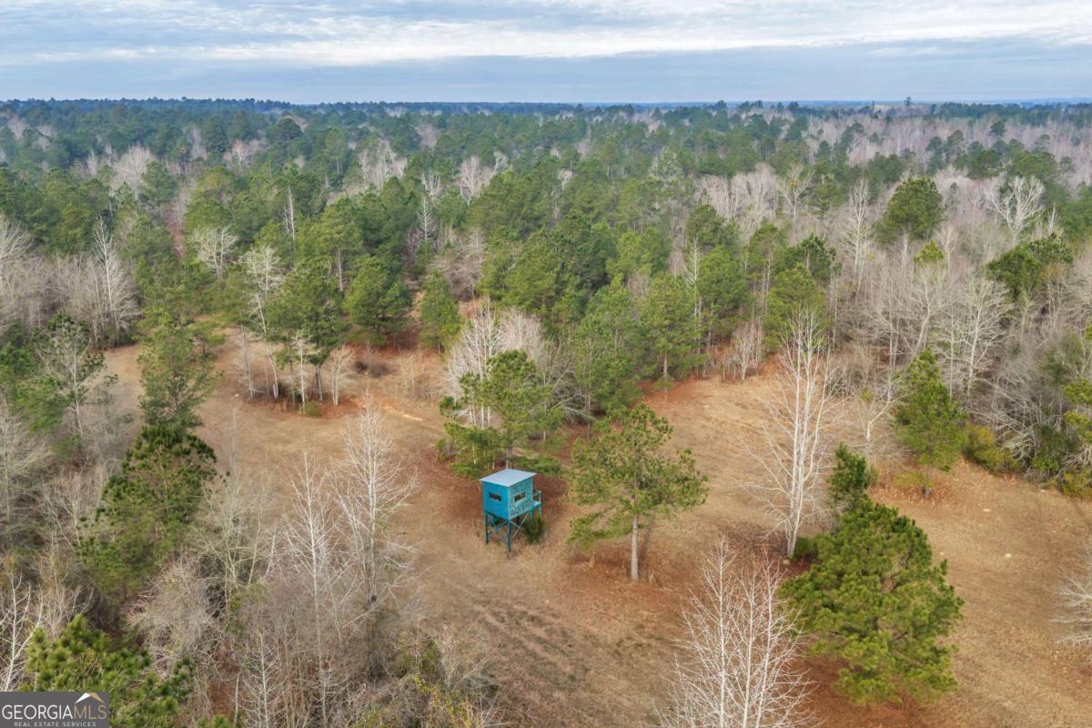 241 Foskey Cemetary Road Property Photo 1