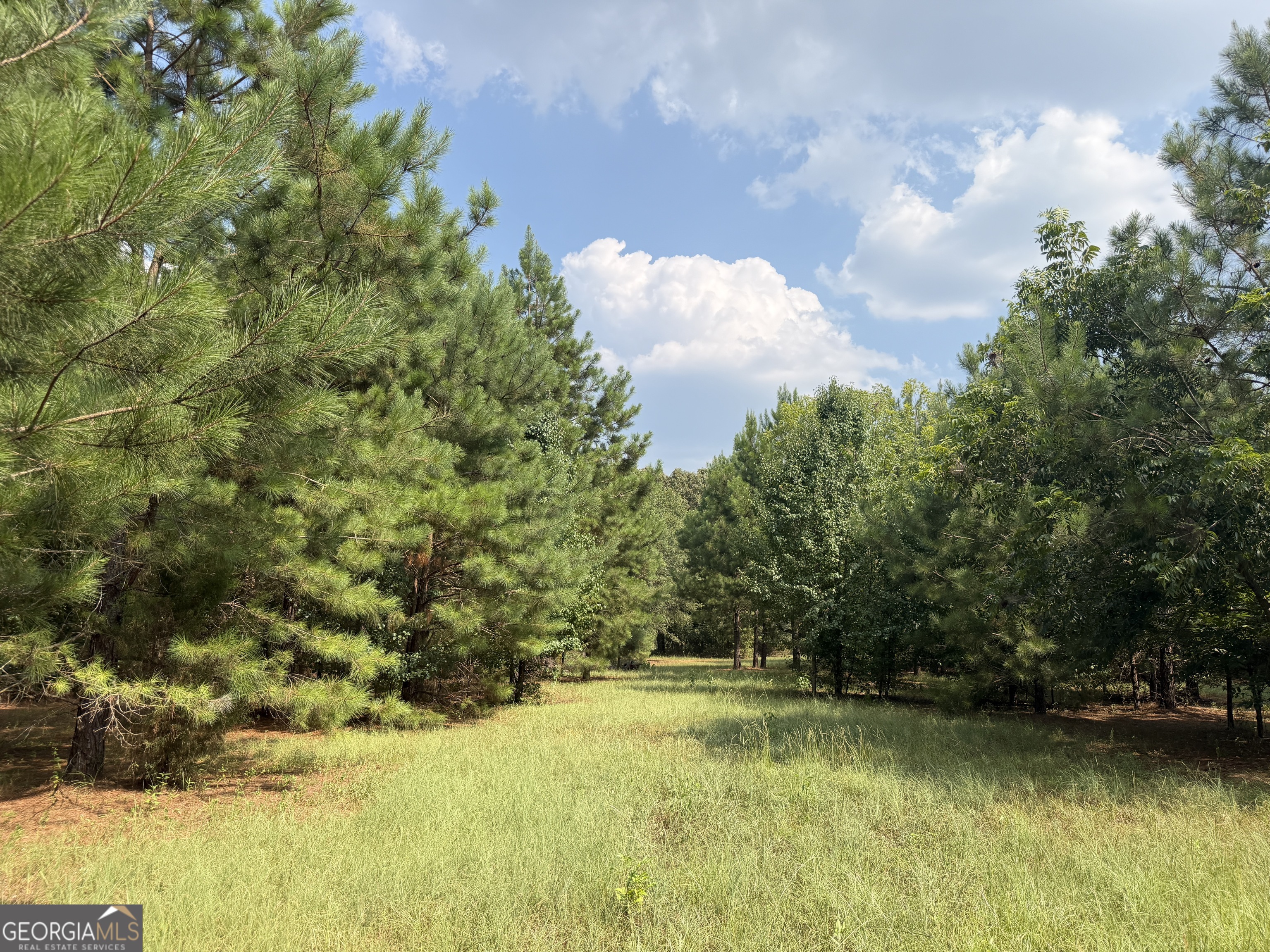 014 S Carter Fish Pond Road Property Photo 1