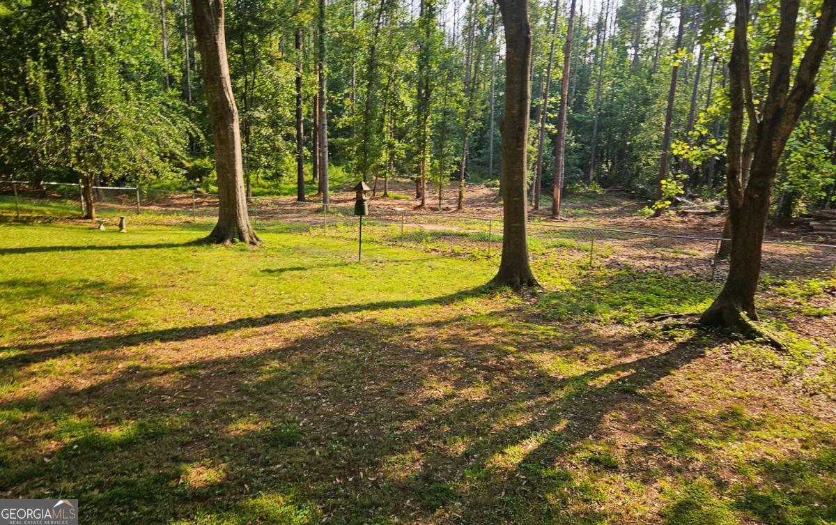 816 Bruce Jackson Road Property Photo 25