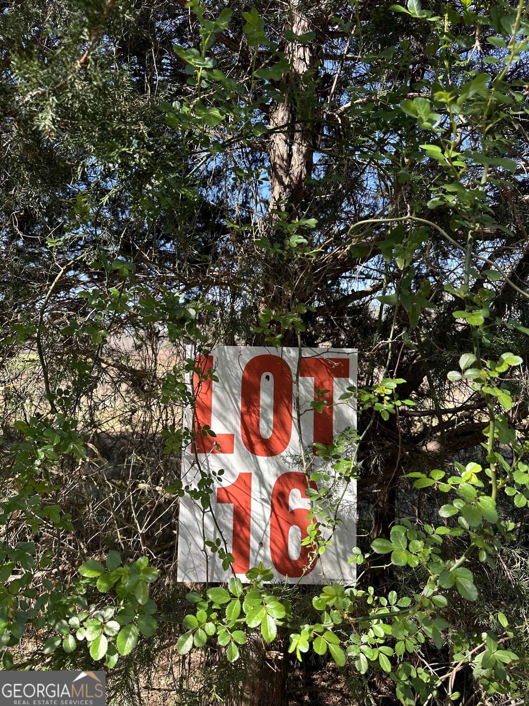 139 Oak Road Lot 16 Property Photo 1