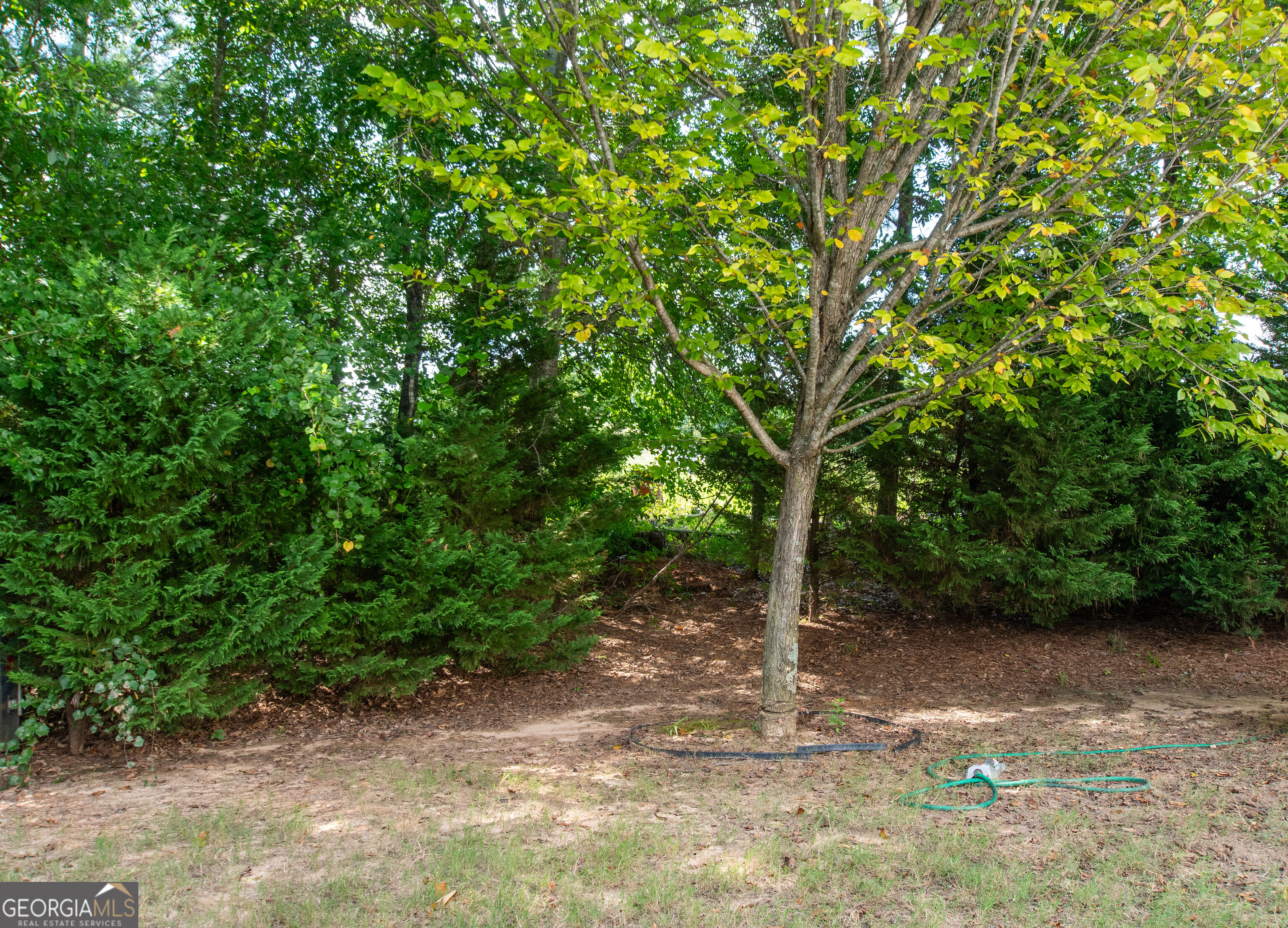 7728 Old Thyme Road Property Photo 26