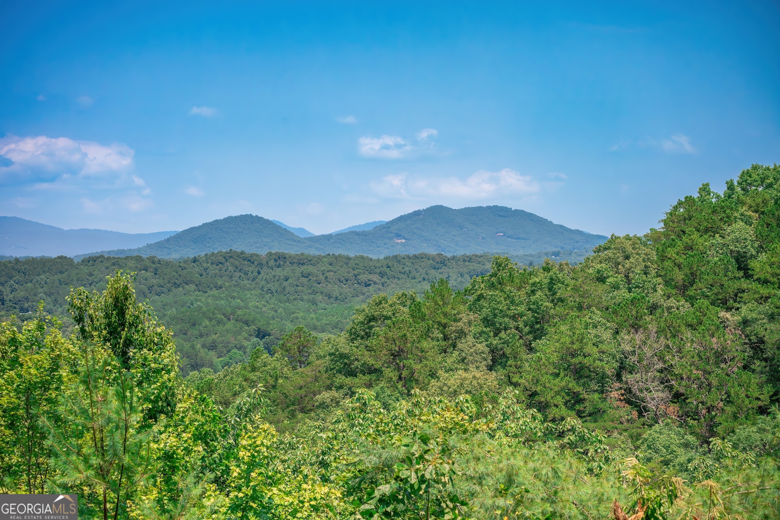 88 Down Yonder Road Property Photo 83