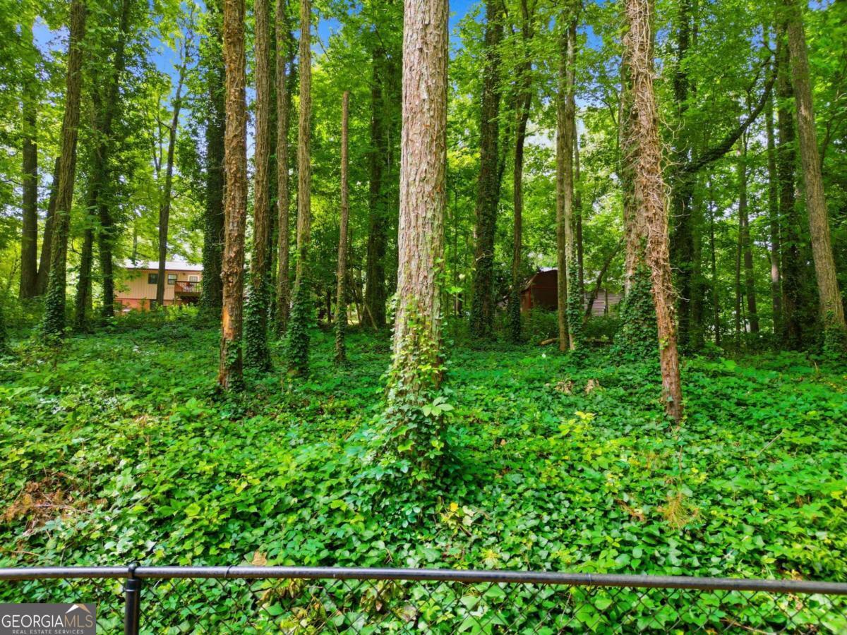 4738 Jamerson Forest Circle Property Photo 49