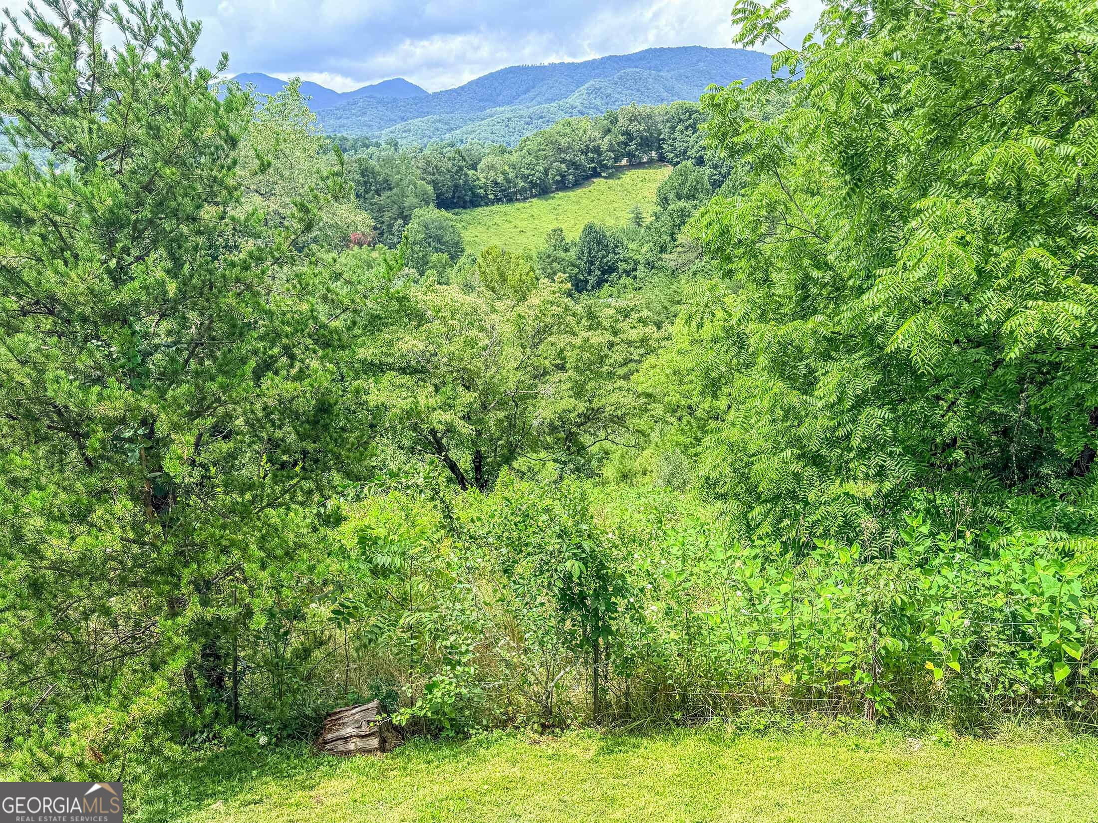 122 Crawford Cove Road Property Photo 64