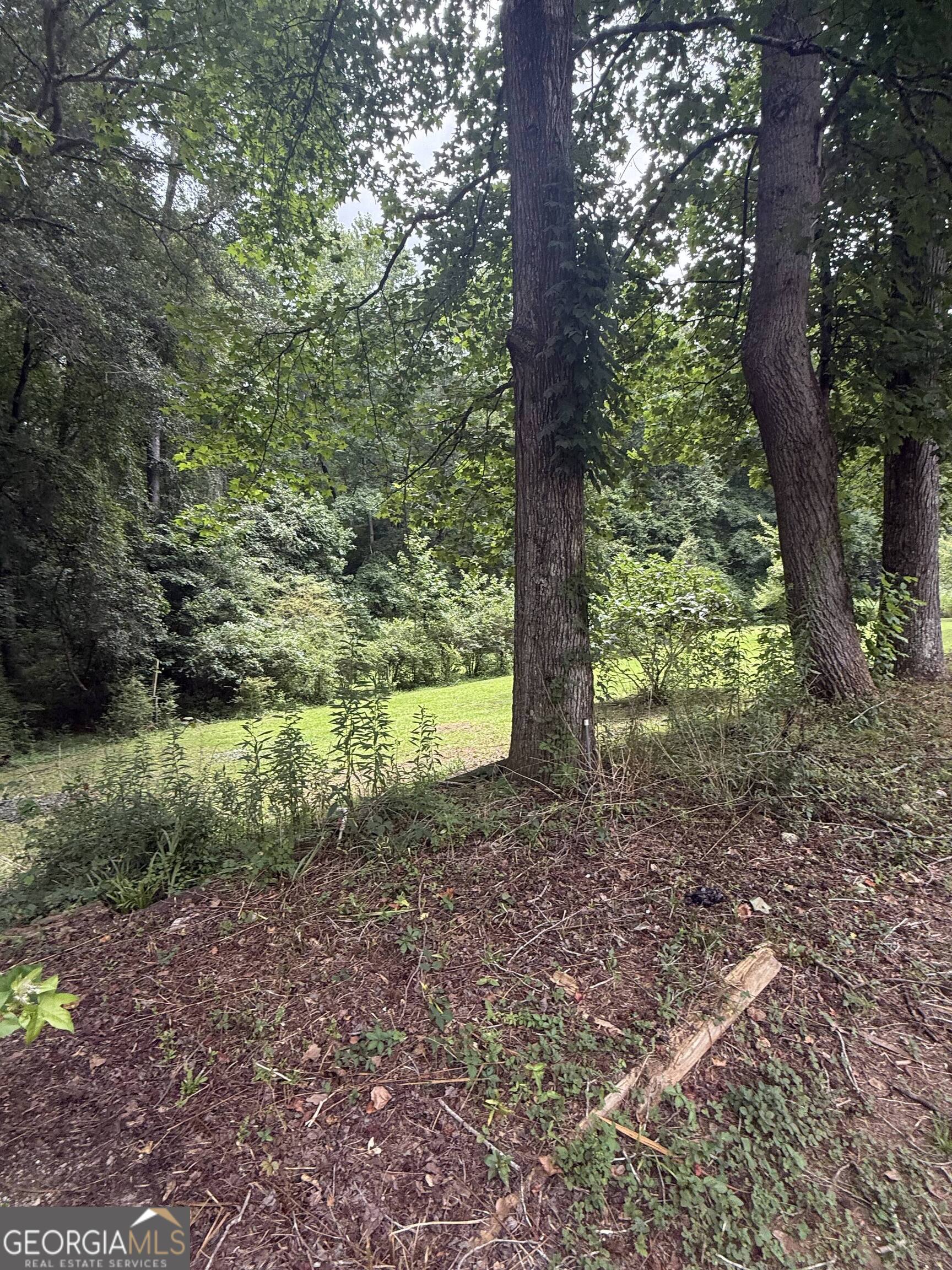 230 Camp Ground Road Property Photo 35