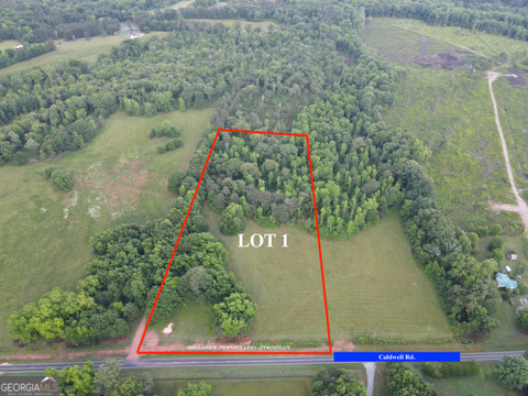 LOT 1 Caldwell Property Photo 1