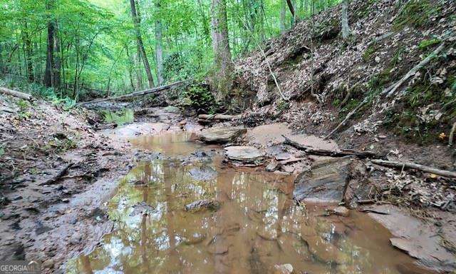 6260 White Mill Road Property Photo 3