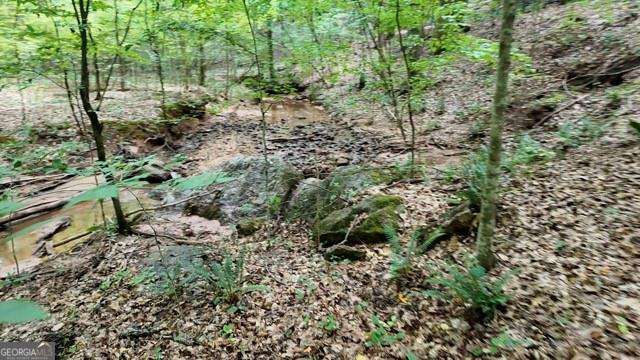 6260 White Mill Road Property Photo 4