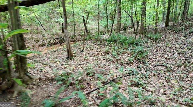6260 White Mill Road Property Photo 5