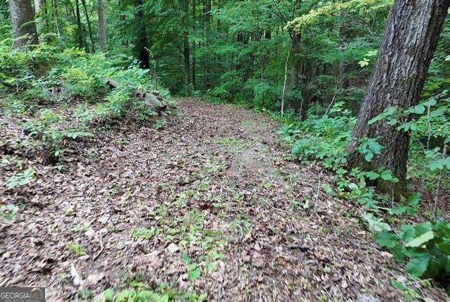 6260 White Mill Road Property Photo 7