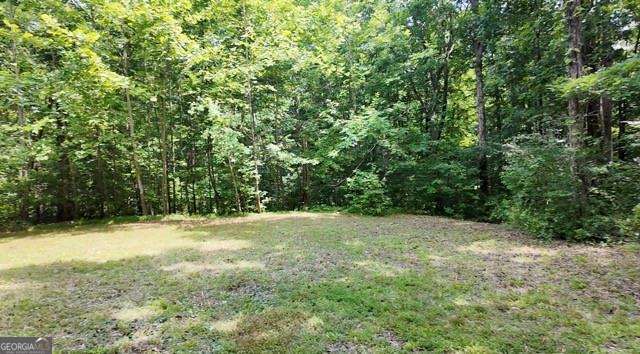 6260 White Mill Road Property Photo 8