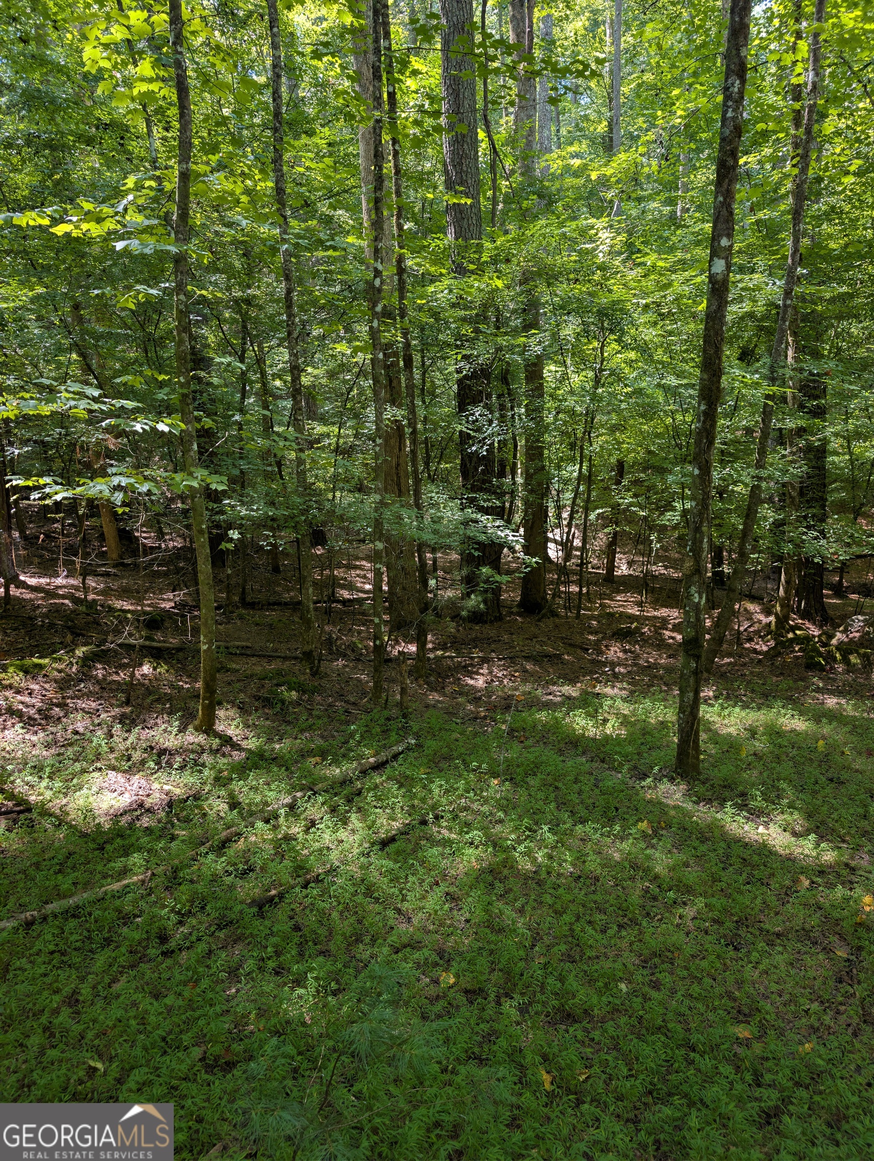 Lot 3079r Monocle Drive Property Photo 1