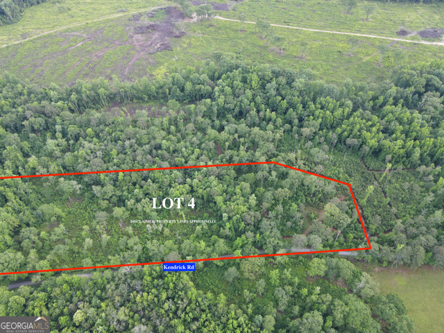 LOT 4 Kendrick Property Photo 1