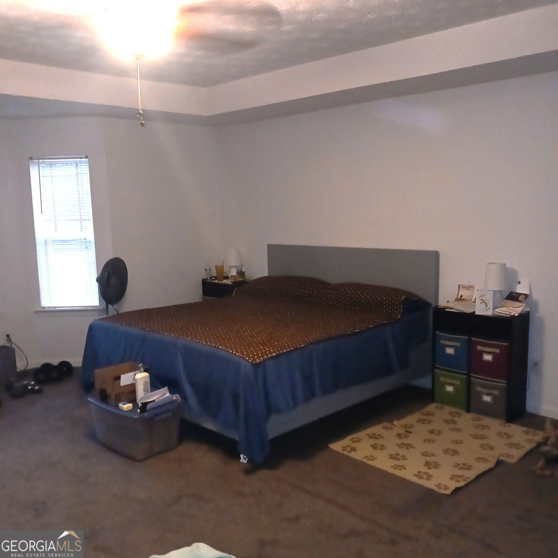 3943 Alderwoods Drive Property Photo 19