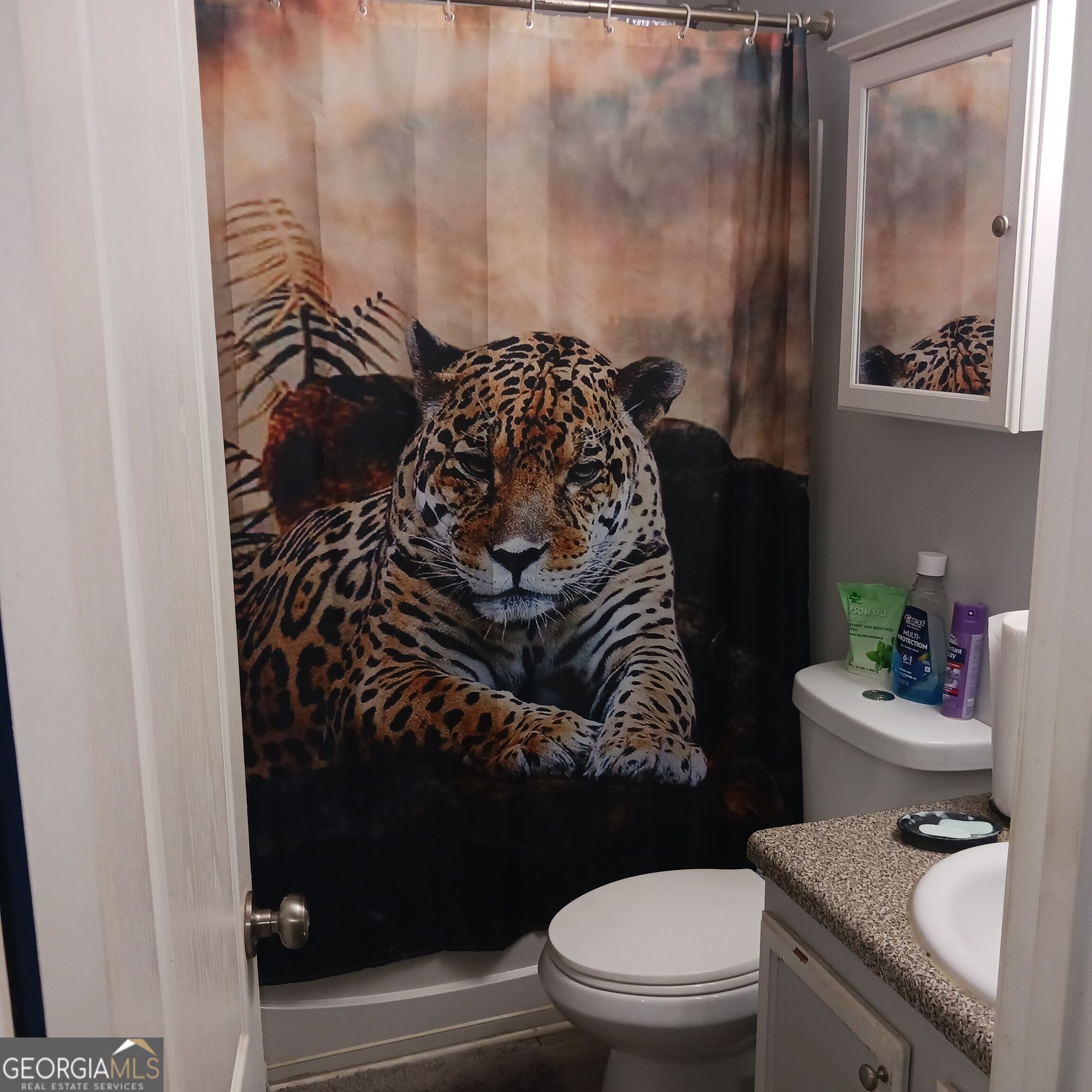 3943 Alderwoods Drive Property Photo 29