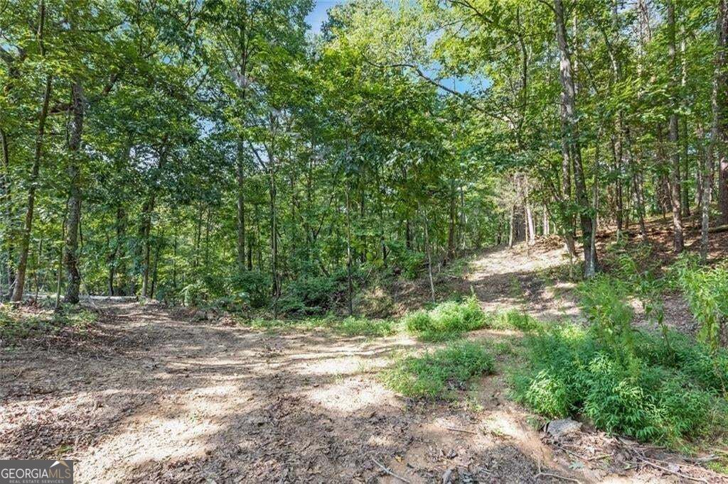 5466 Whitehall Road Property Photo 53