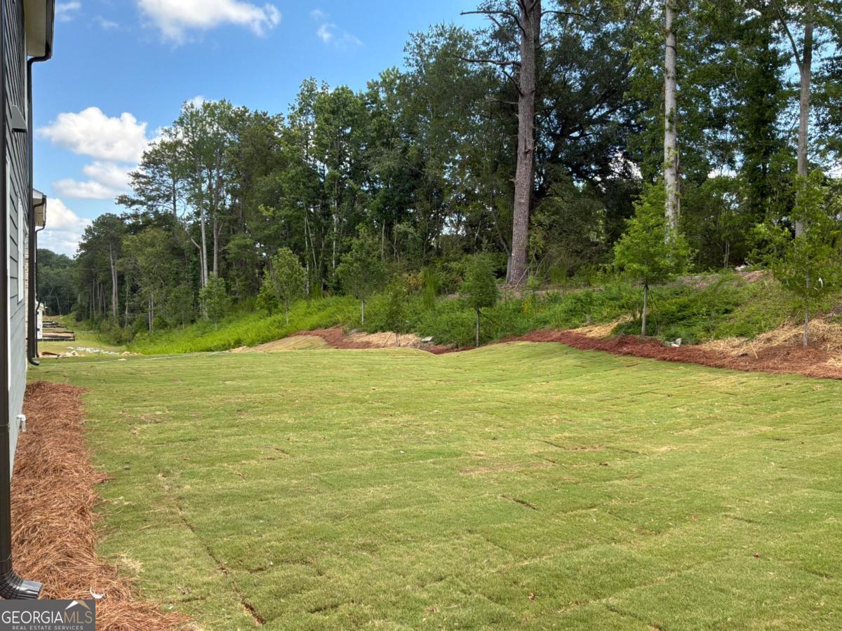 3455 Fern Hollow Path Property Photo 29