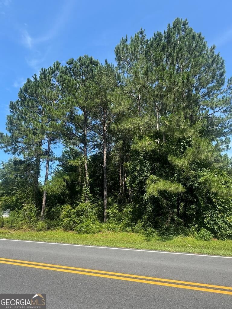 0 Payne Road Property Photo 3