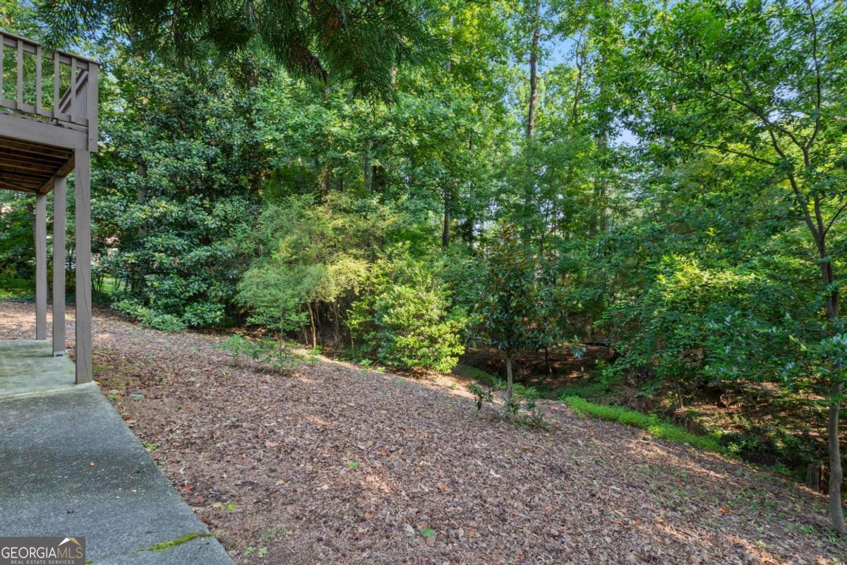 4930 Twin Branches Way Property Photo 4