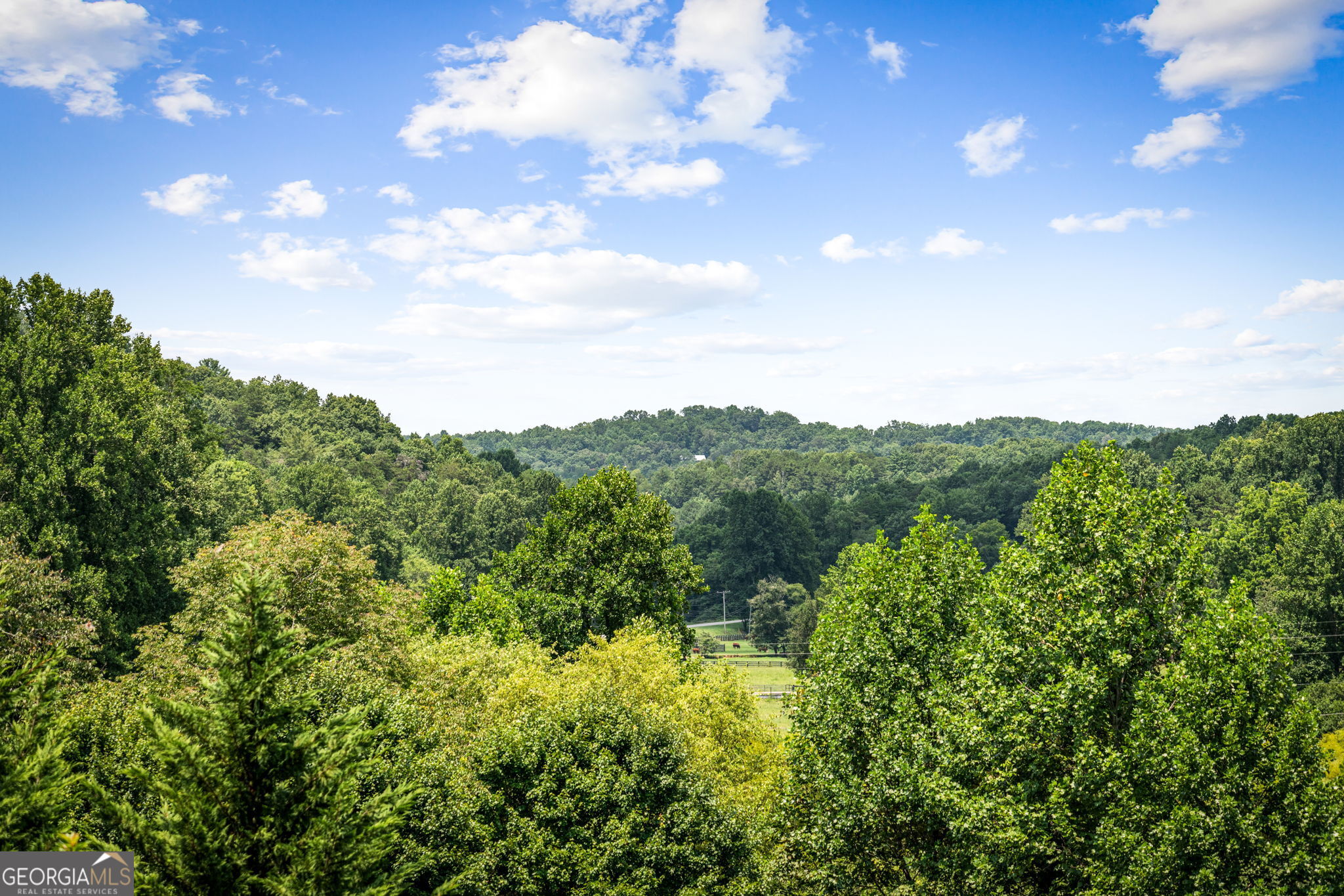 1571 W Campbell Camp Road Property Photo 69