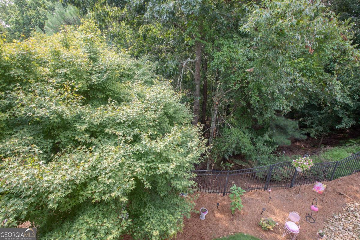 3228 Black Gum Lane Sw Property Photo 41