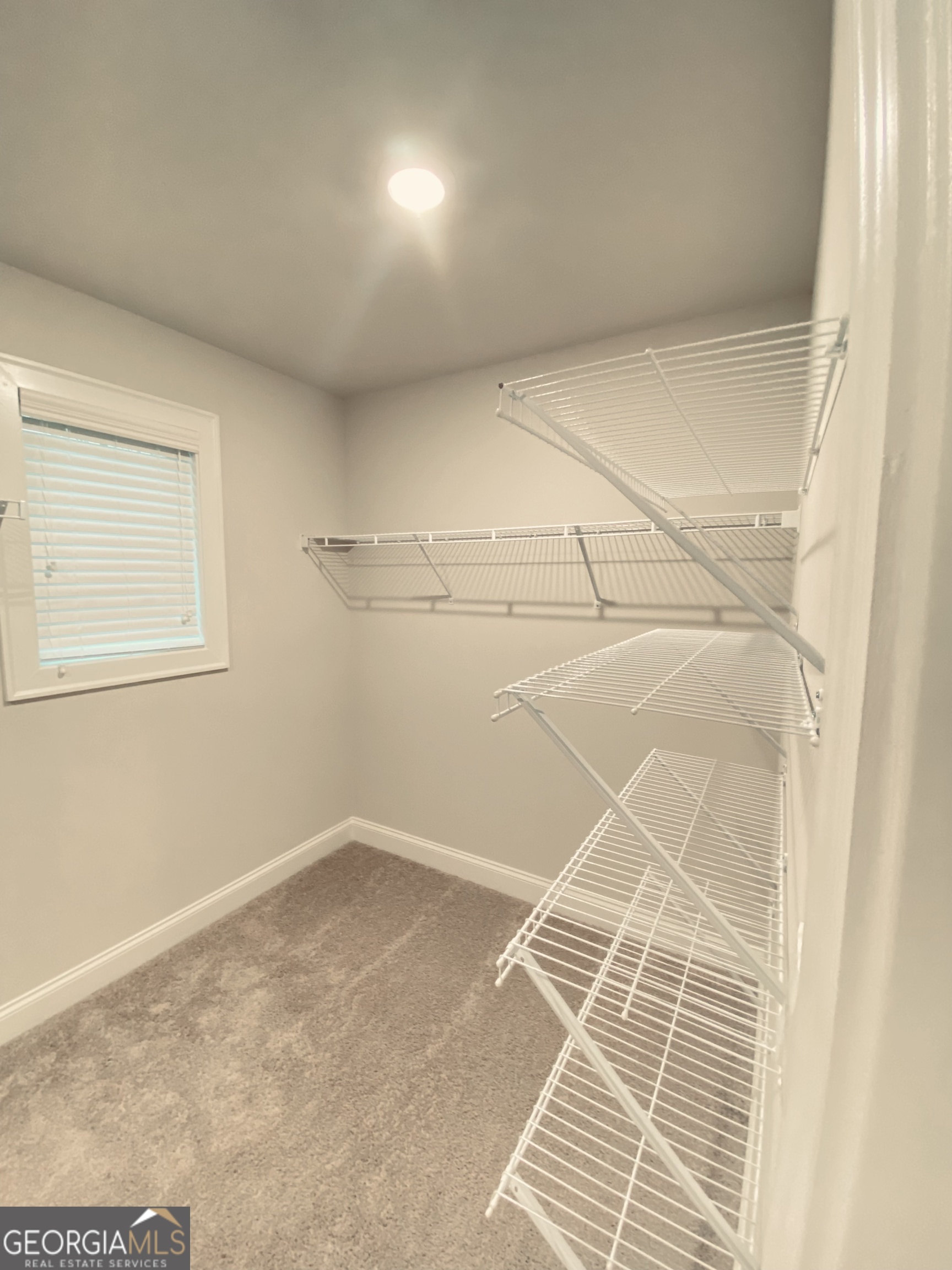 3290 Summerpoint Crossing Property Photo 28