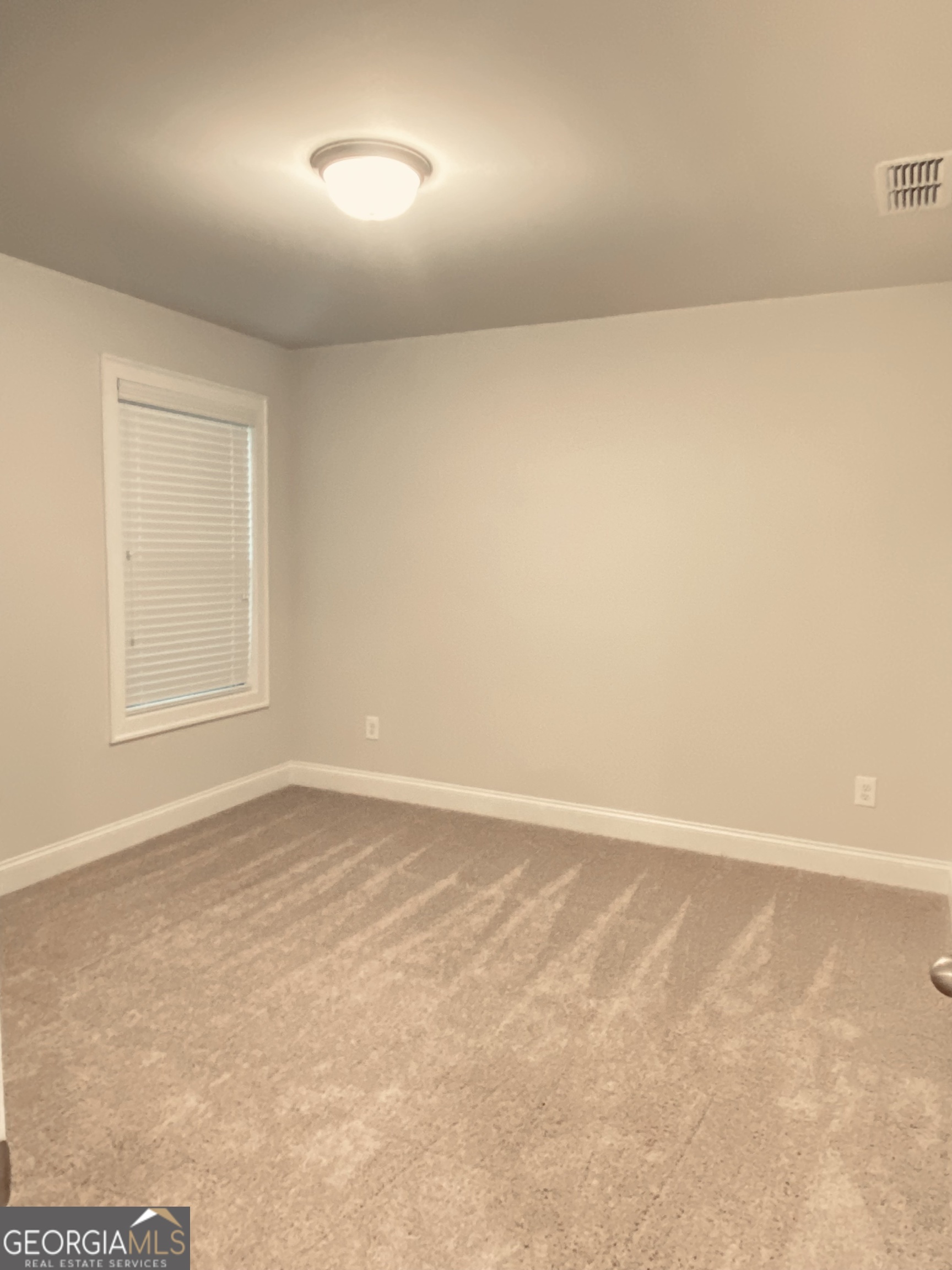 3290 Summerpoint Crossing Property Photo 32