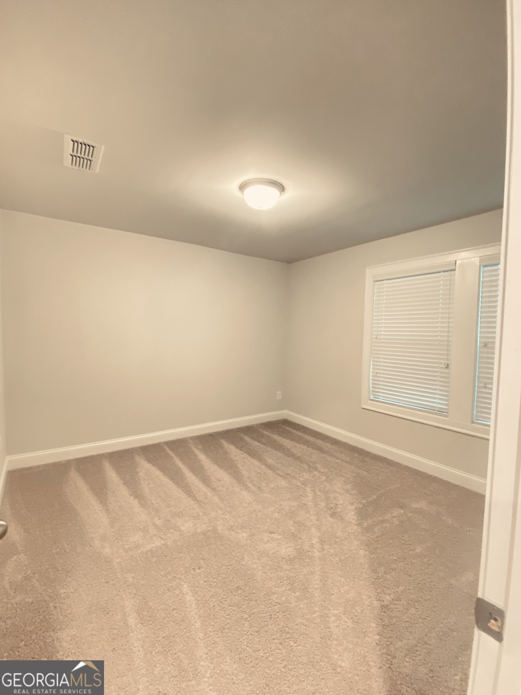3290 Summerpoint Crossing Property Photo 34