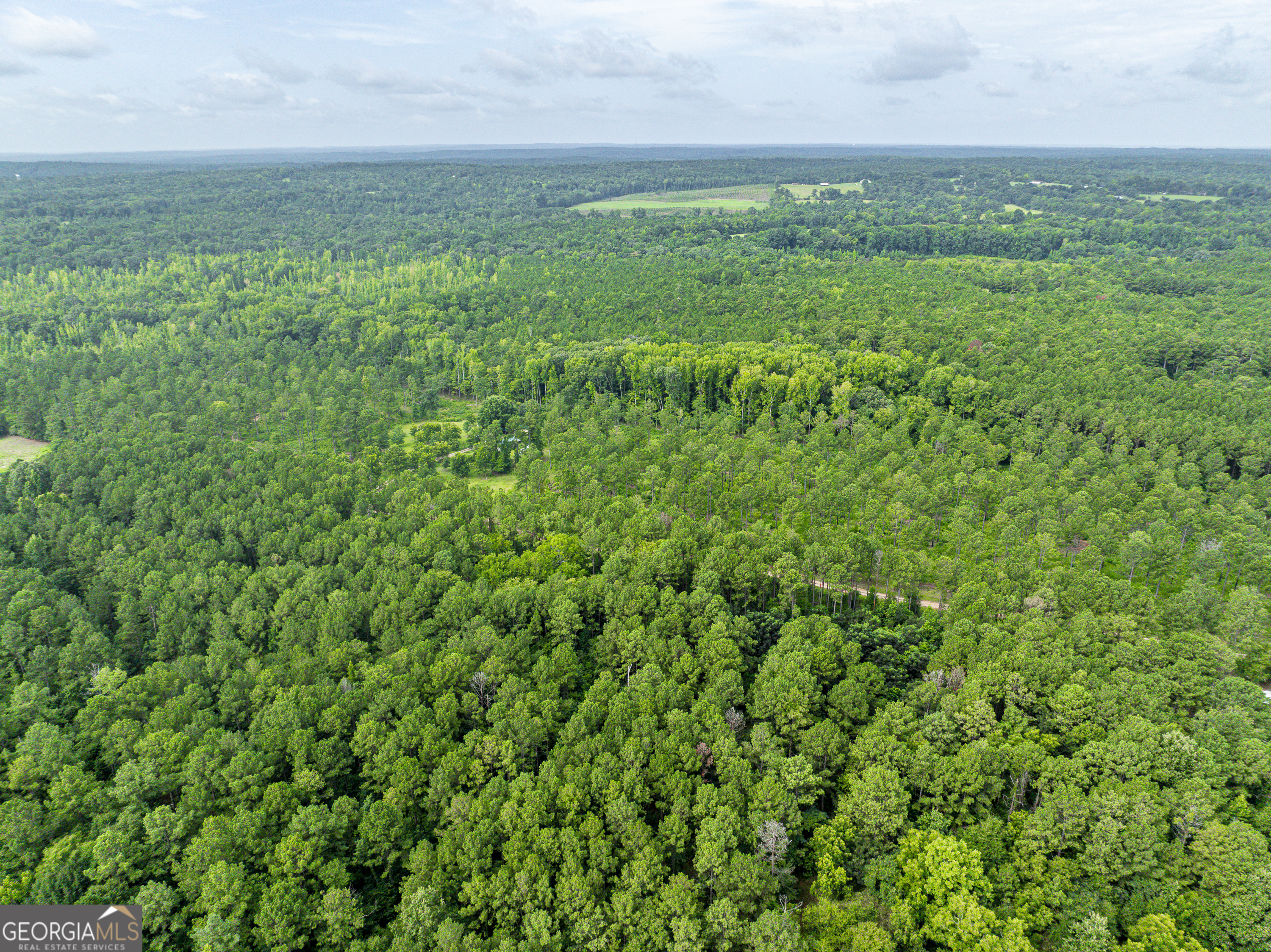 1052 Fortville Milledgeville Road Property Photo 13
