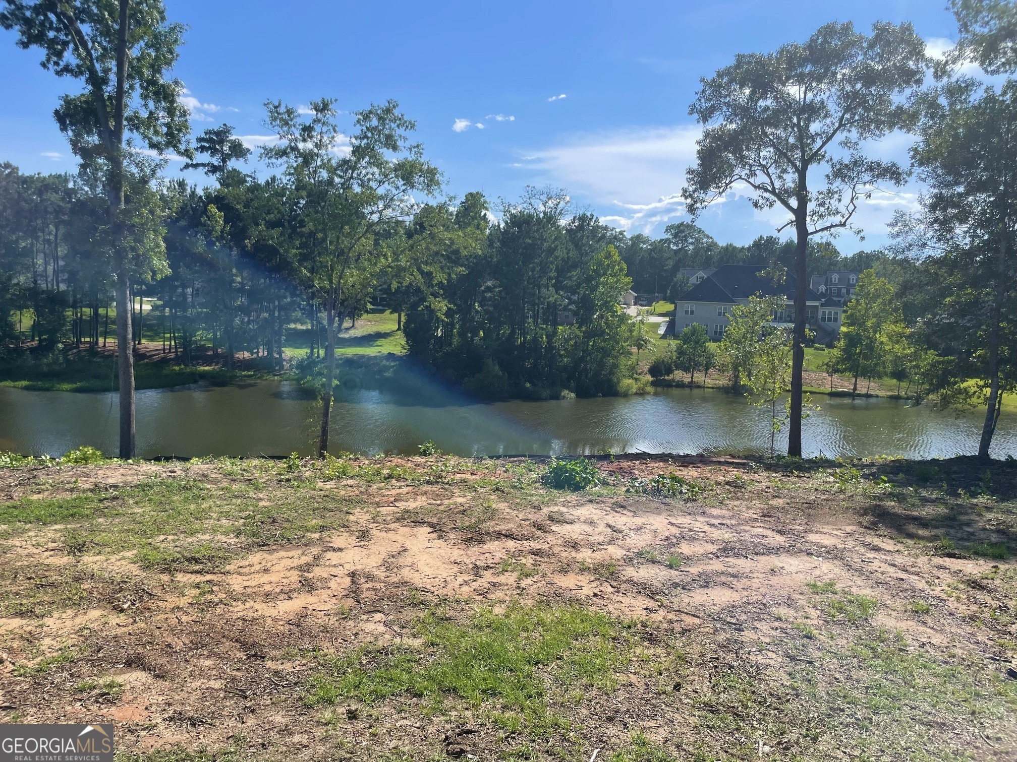 407 Arlington Falls Court Property Photo 1