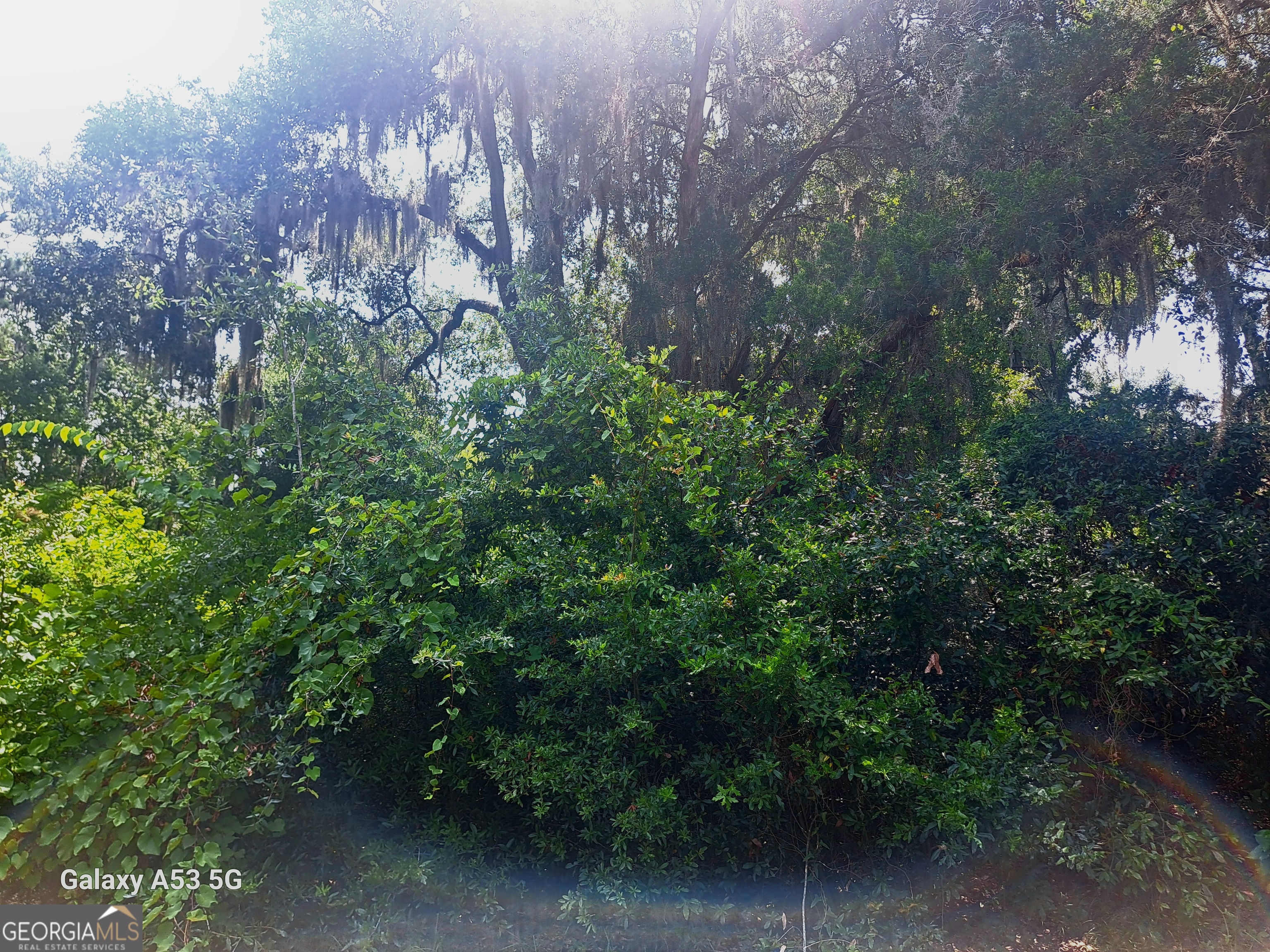 706 Ready Street Property Photo 8