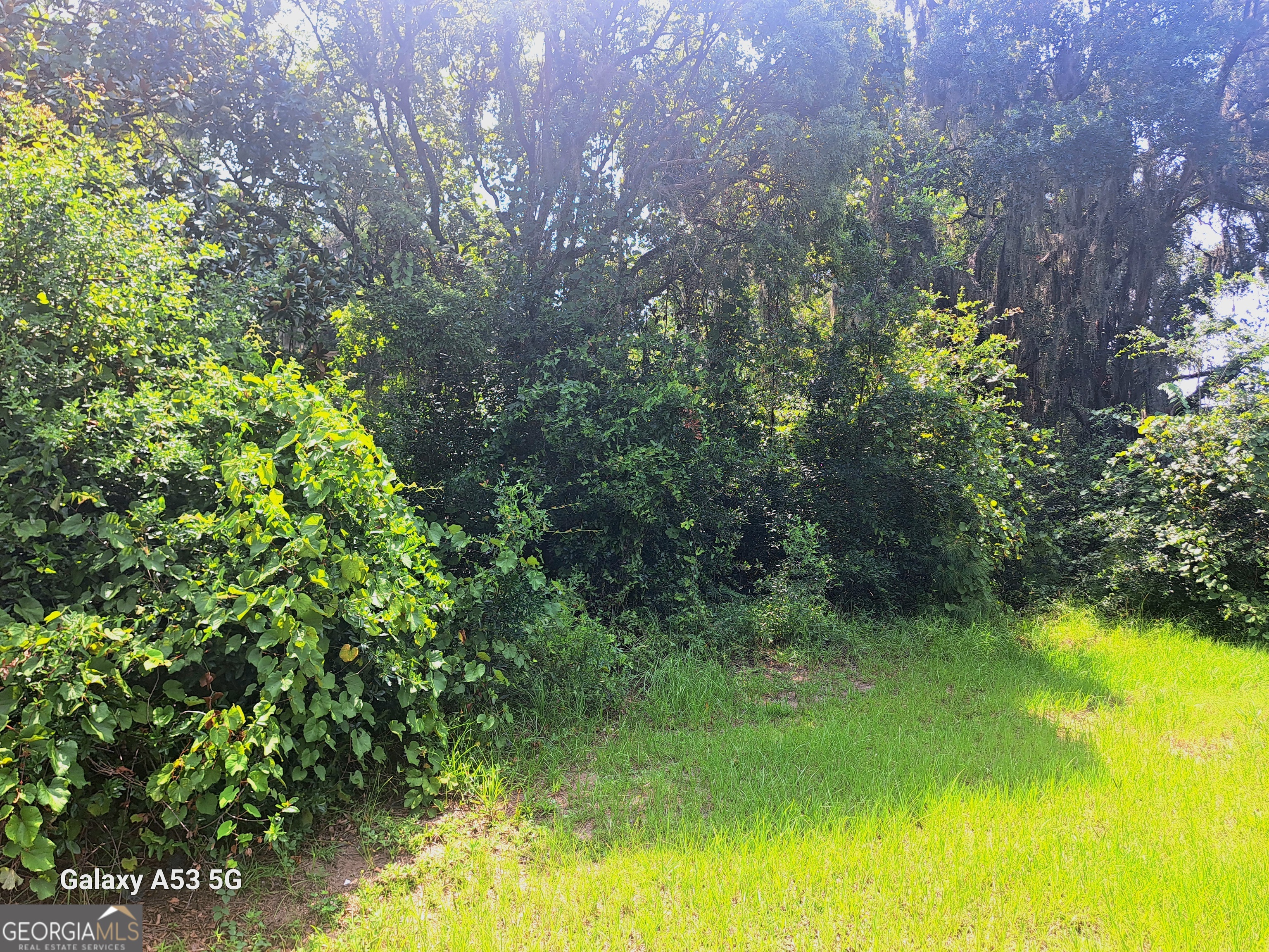 706 Ready Street Property Photo 29