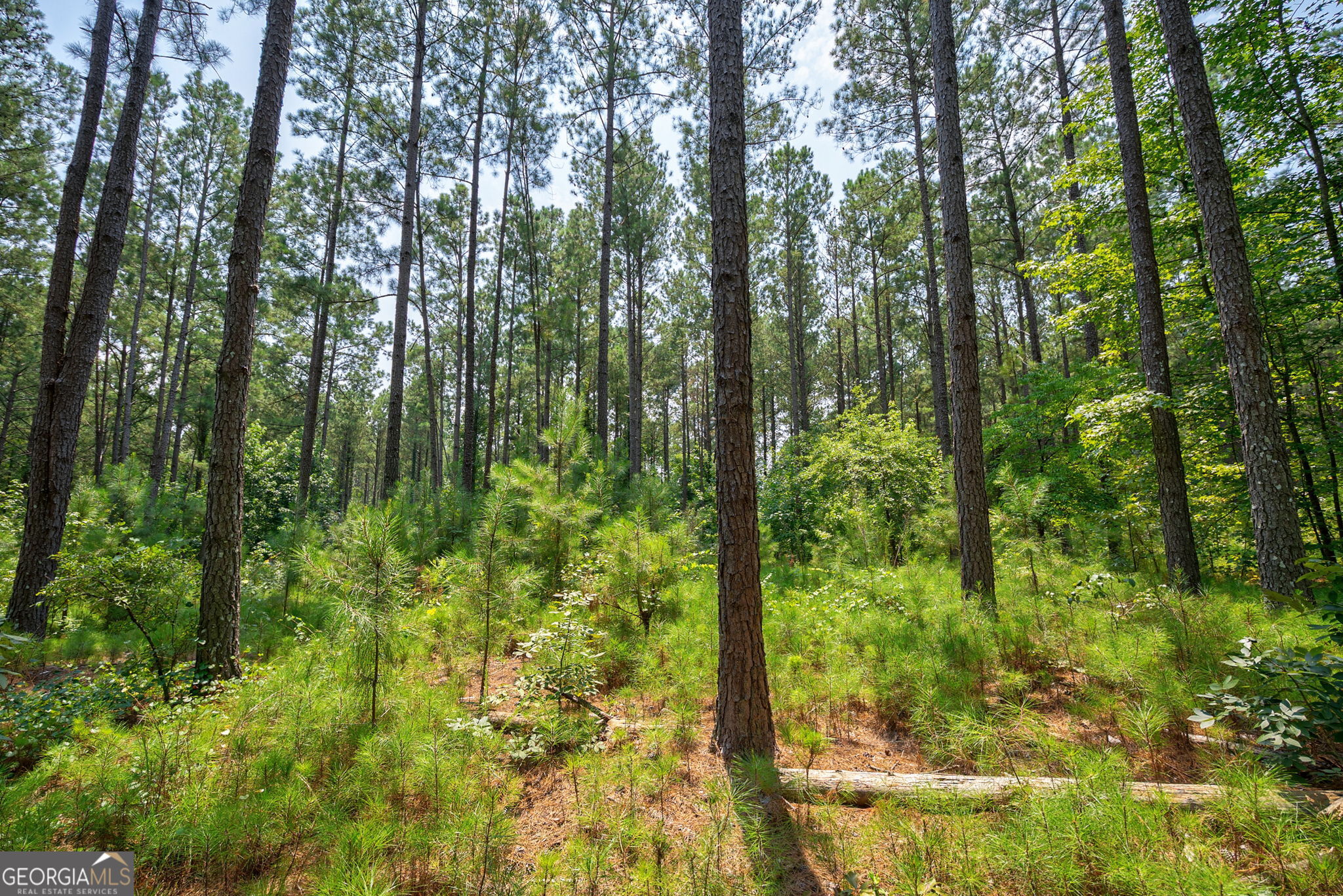 0 Jabez Poyner Road Property Photo 1