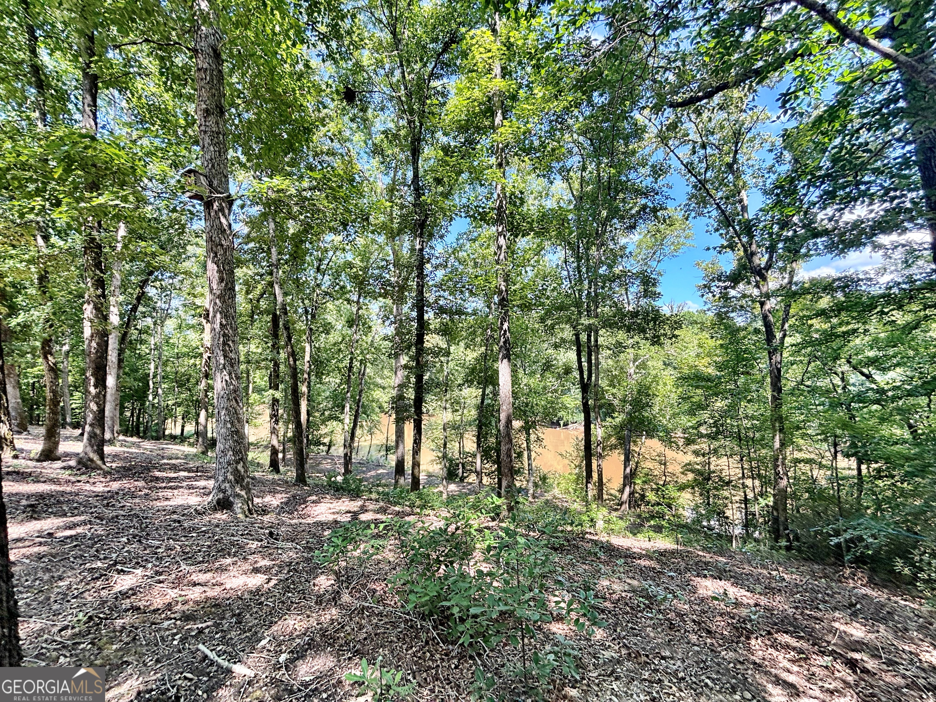 8502 S 19 Hwy Property Photo 26