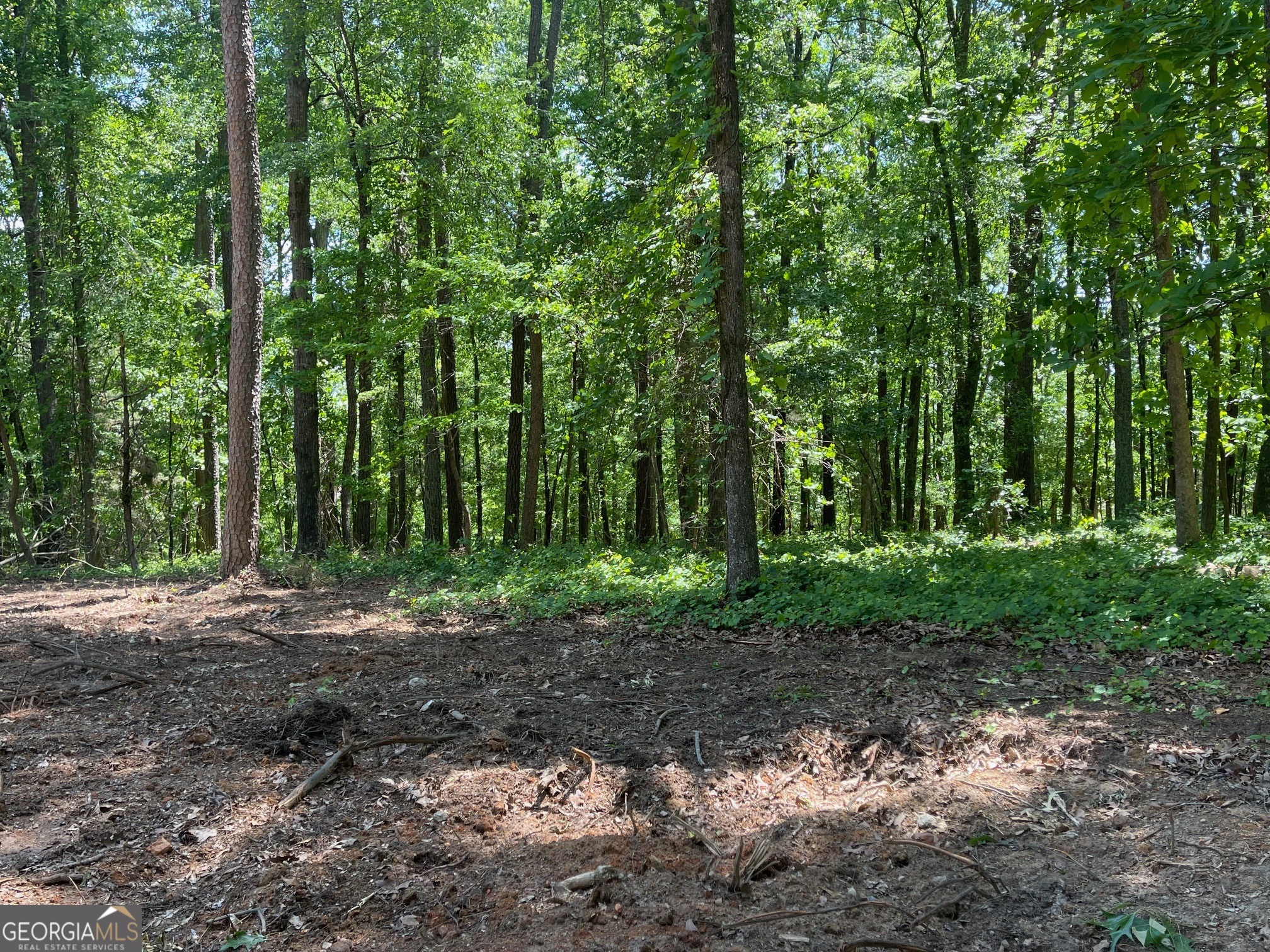 Tract 3 Chalcrest Way Property Photo 10