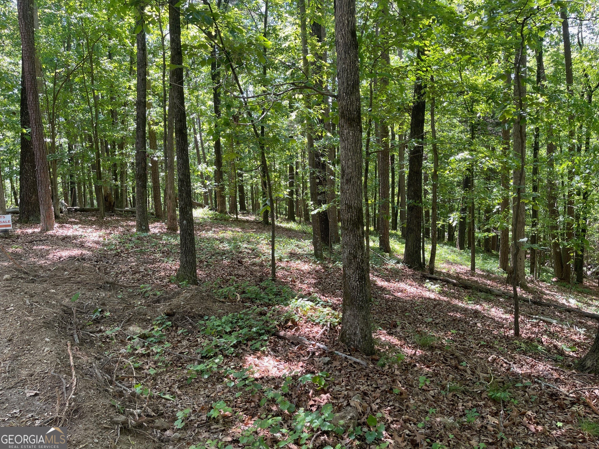 Tract 3 Chalcrest Way Property Photo 11