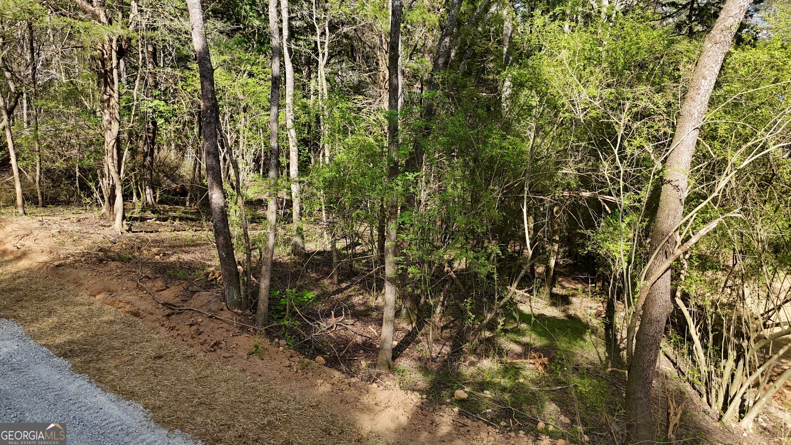 Tract 3 Chalcrest Way Property Photo 22