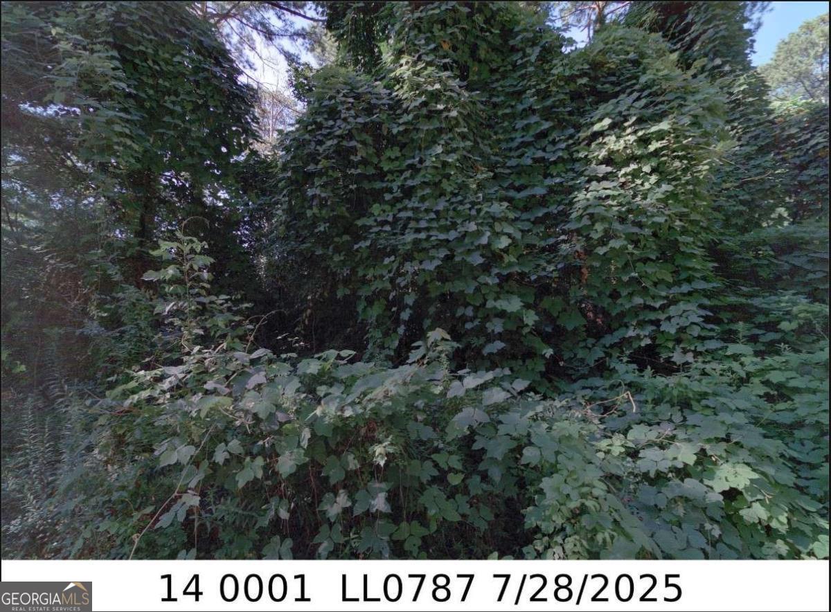 0 Hendon Road SE Property Photo 1