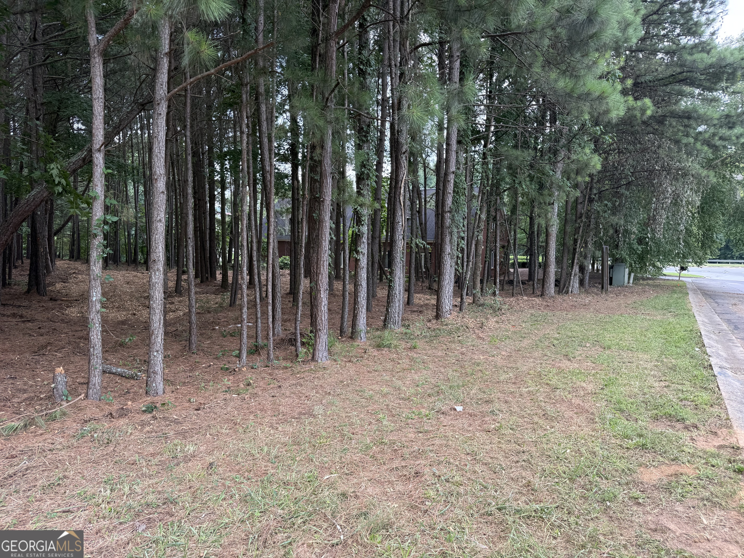 4210 Mundy Mill Place Property Photo 1