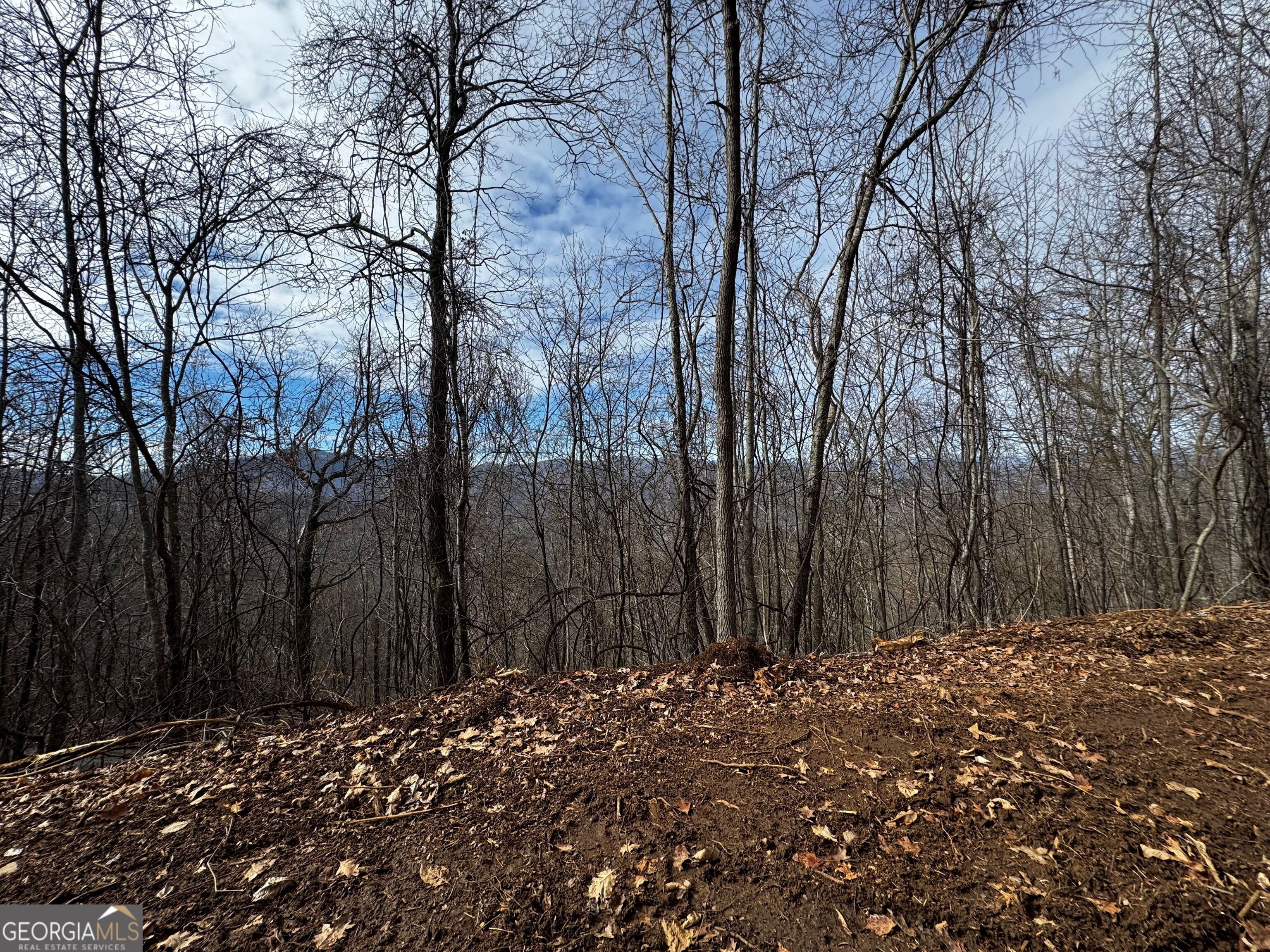 20 Acres Burnt Leaf Lane Property Photo 6
