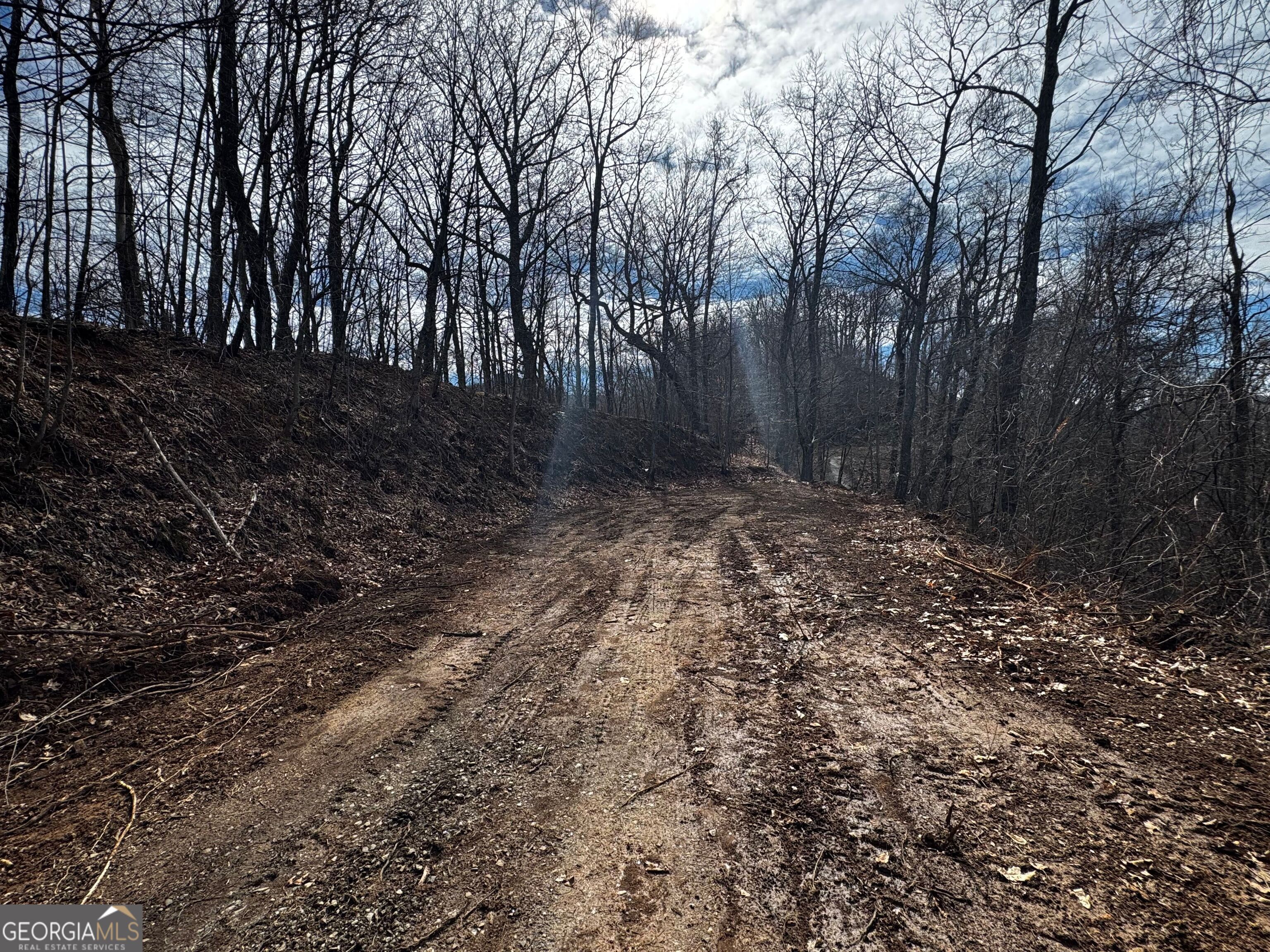 20 Acres Burnt Leaf Lane Property Photo 8