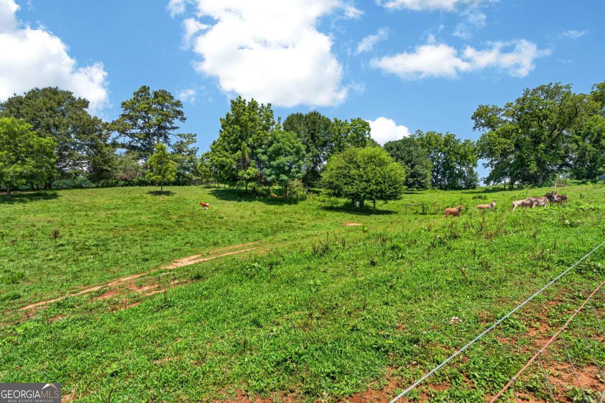 14155 Hwy 106 Property Photo 41