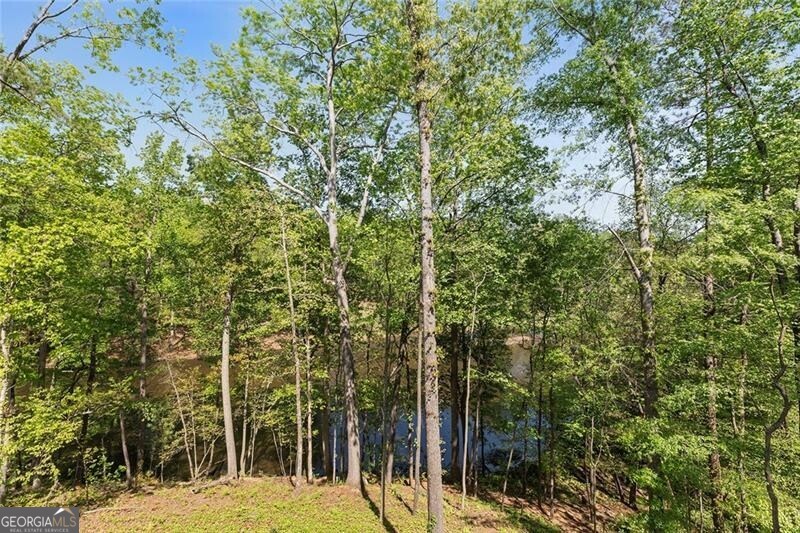 3290 Dunlop Court Ne Property Photo 63